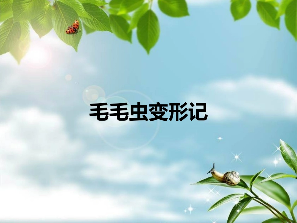 毛毛虫变形记_第1页