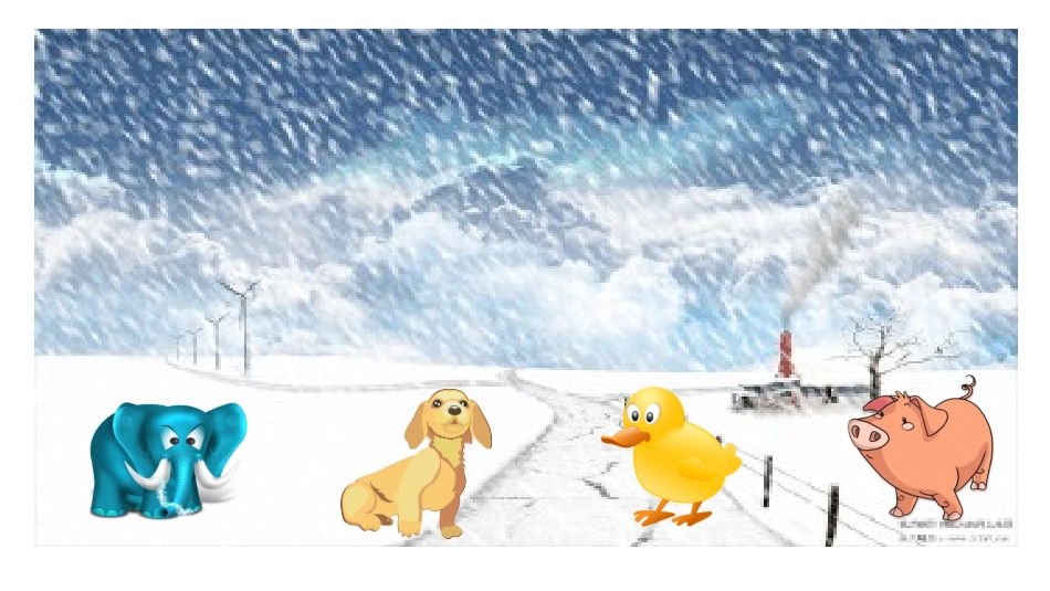 中班科学《漂亮的花围巾》课件_第1页