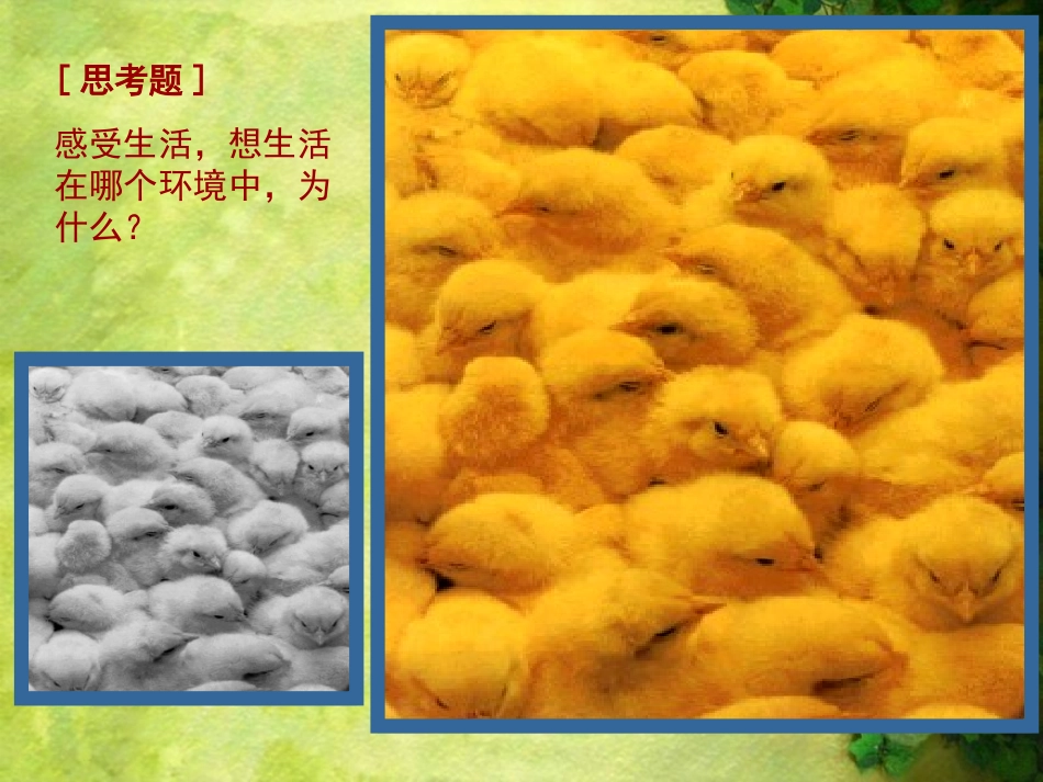 新人教版七年级美术下册《色彩的魅力》课件2_第2页