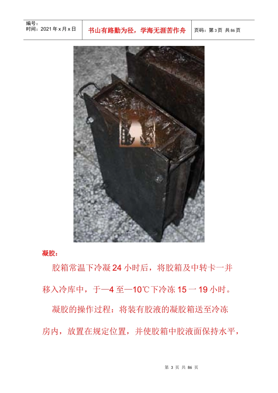 东阿百年堂阿胶块生产线——3_第3页