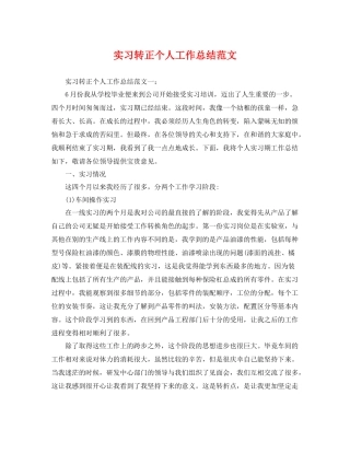 实习转正个人工作总结范文 