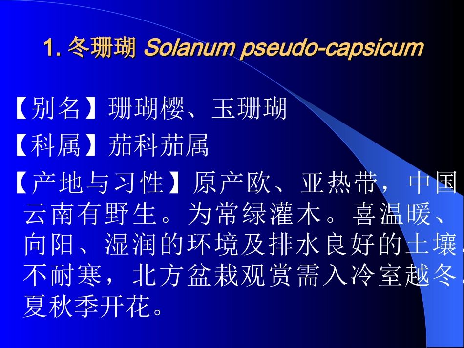 常见观果花卉_第3页