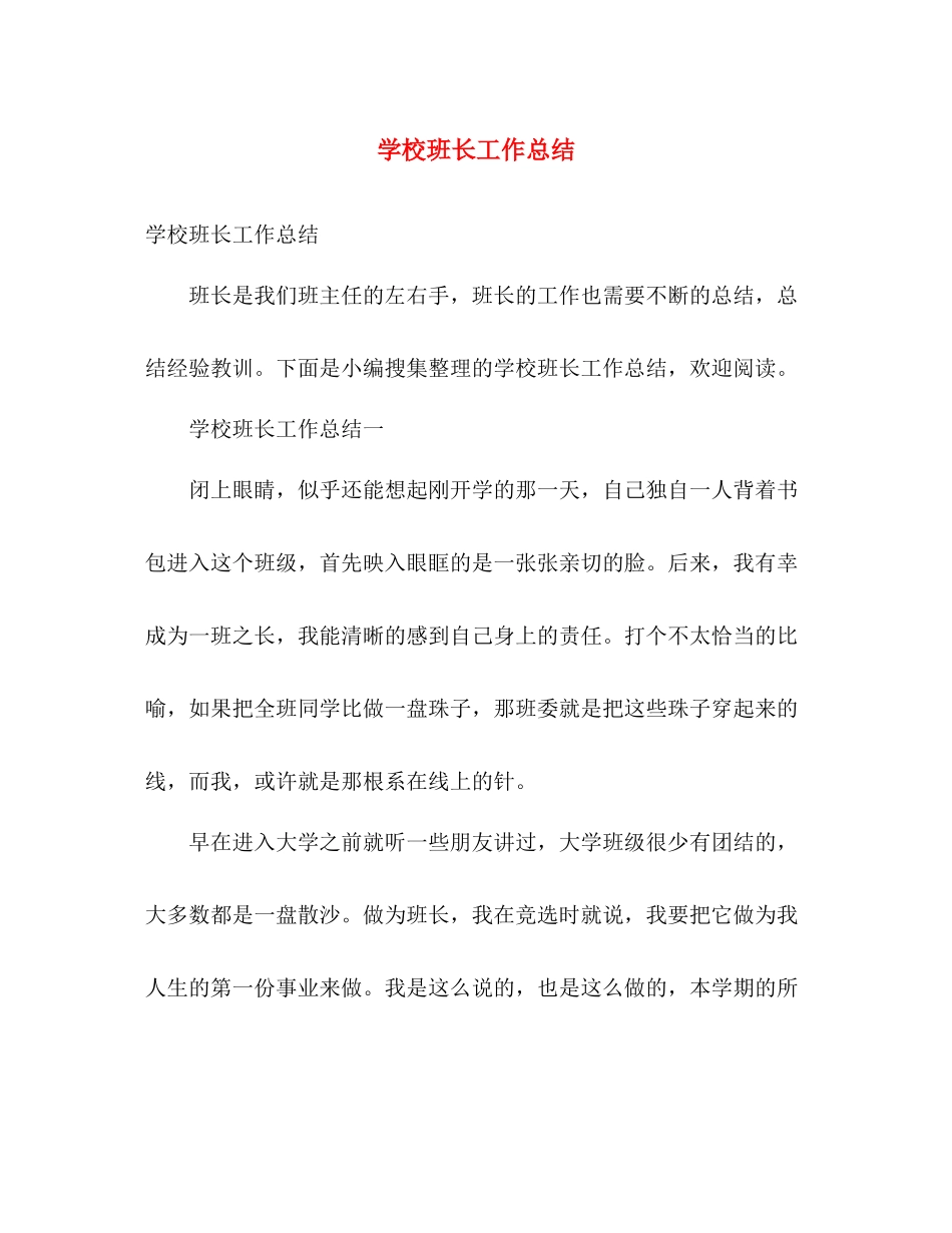 学校班长工作总结 _第1页