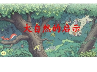 大自然的启示 (2)