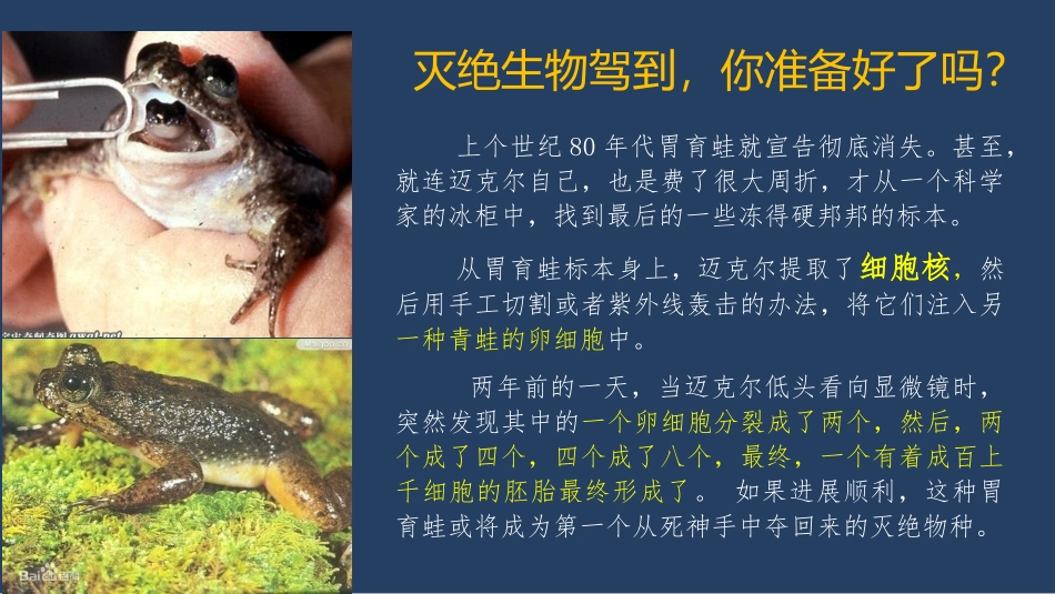 第3节细胞核_第2页