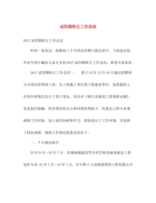 试用期转正工作总结 