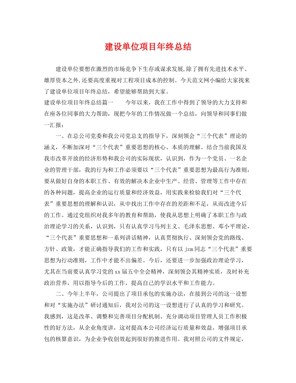 建设单位项目年终总结 _第1页