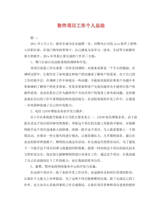 软件项目工作个人总结 