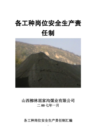 各工种岗位安全生产责任制正式