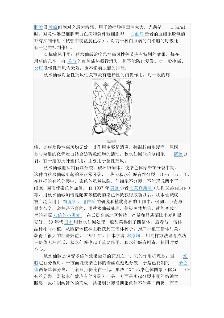 中草药山慈姑可抗癌_第2页