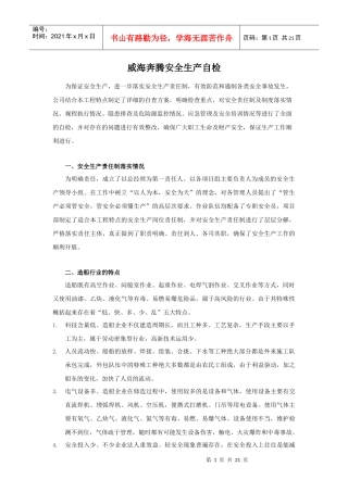 制造企业安全生产自检报告