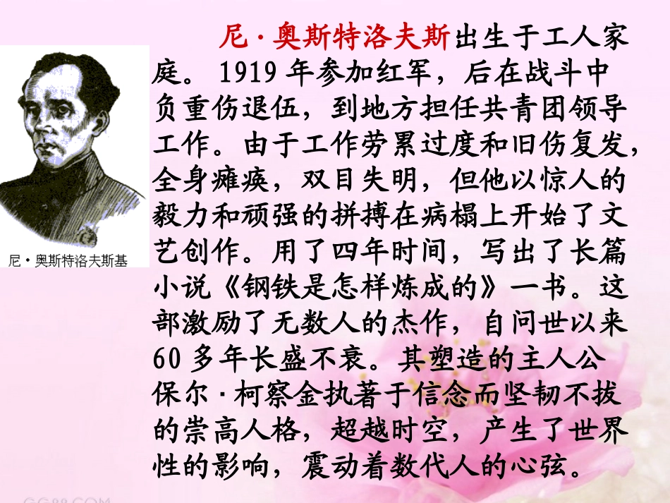 初中思想品德《钢铁是这样炼成的》教学设计_第2页