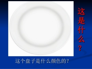 柳景琼教学课件—漂亮的挂盘