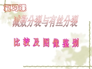有丝分裂和减数分裂的比较
