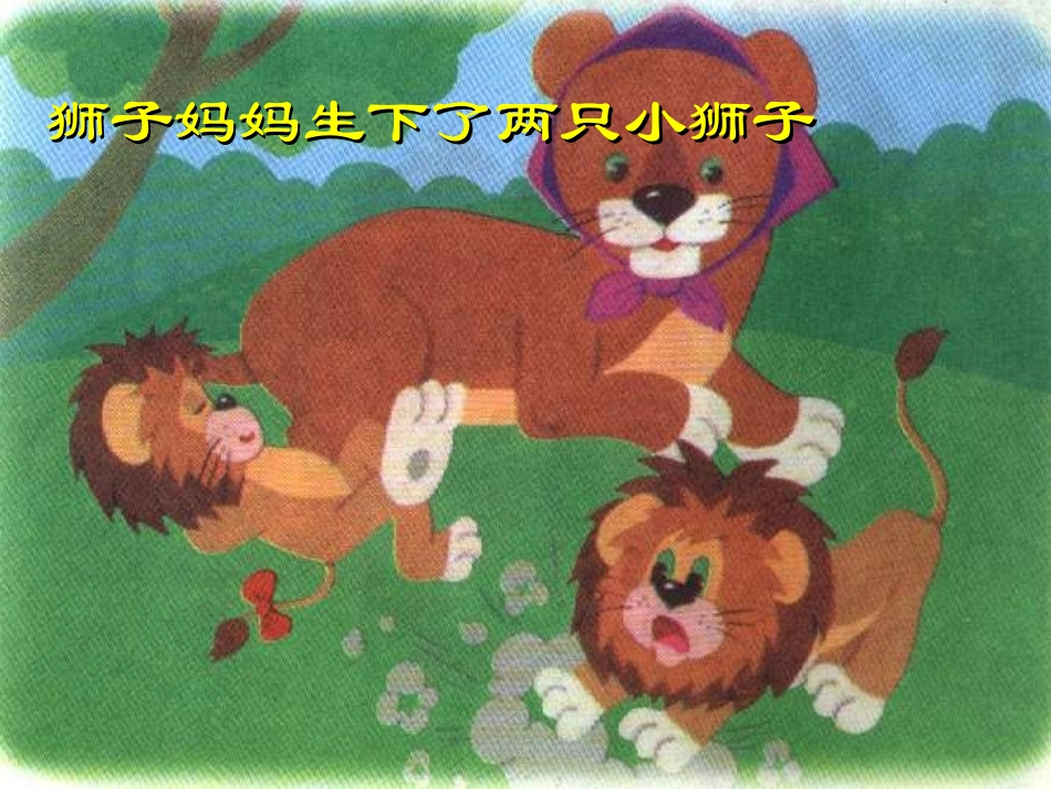 《两只小狮子》课件_第3页