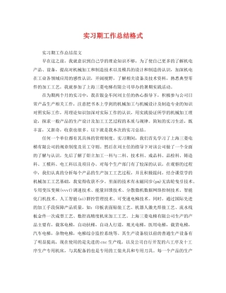 实习期工作总结格式 