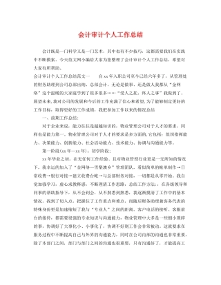 会计审计个人工作总结 