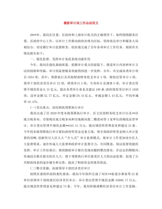 最新审计局工作总结范文 