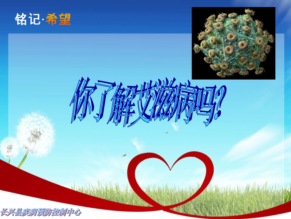 艾滋病知识演讲_第2页