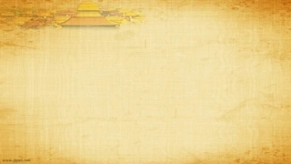 字母表示数课件