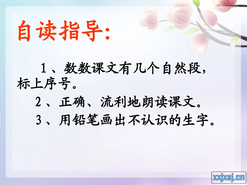 人教版一年级下册小蝌蚪找妈妈()_第2页
