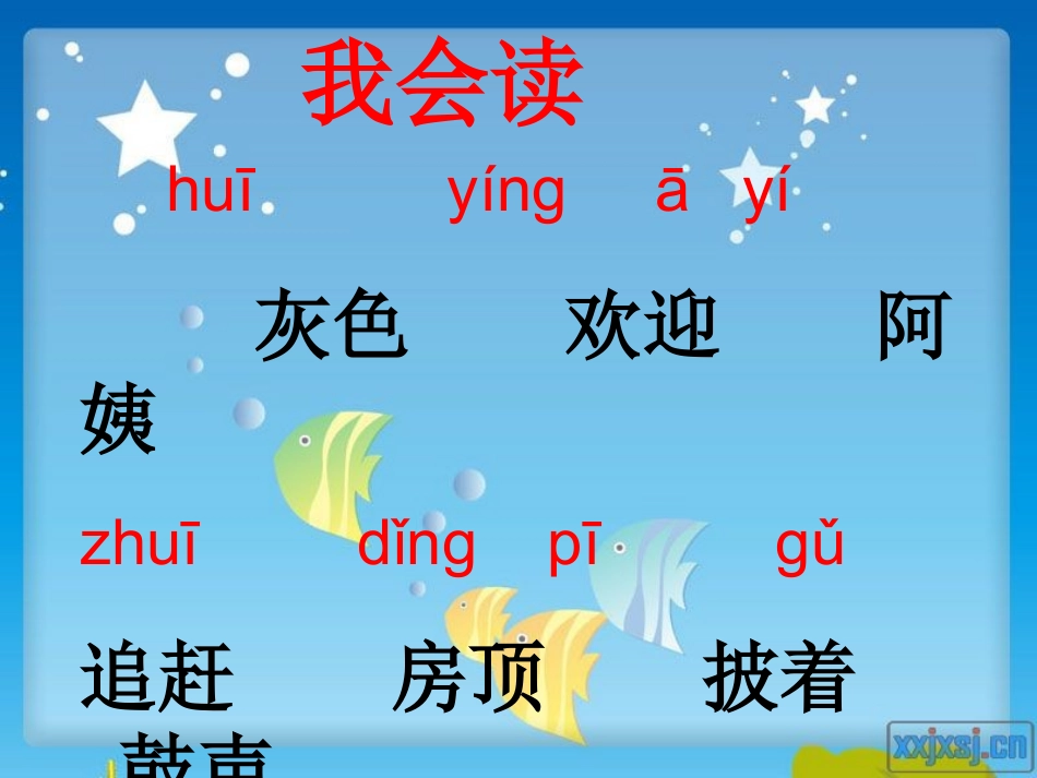 人教版一年级下册小蝌蚪找妈妈()_第3页