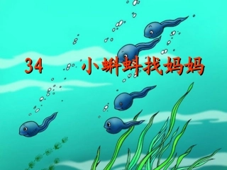 人教版一年级下册小蝌蚪找妈妈()