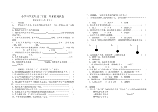 五下期末模拟卷3