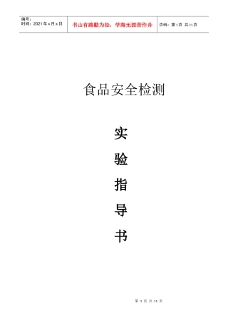 安全检测指导书