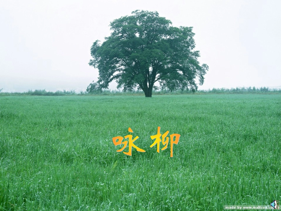 咏柳(1)课件_第1页