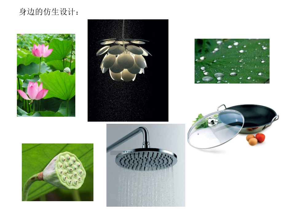 八年级上册第8课从生活中吸取设计的灵感第2课时_第3页