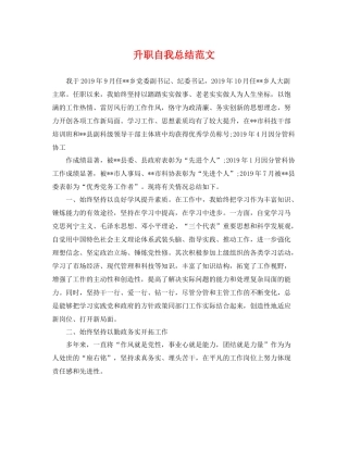 升职自我总结范文 