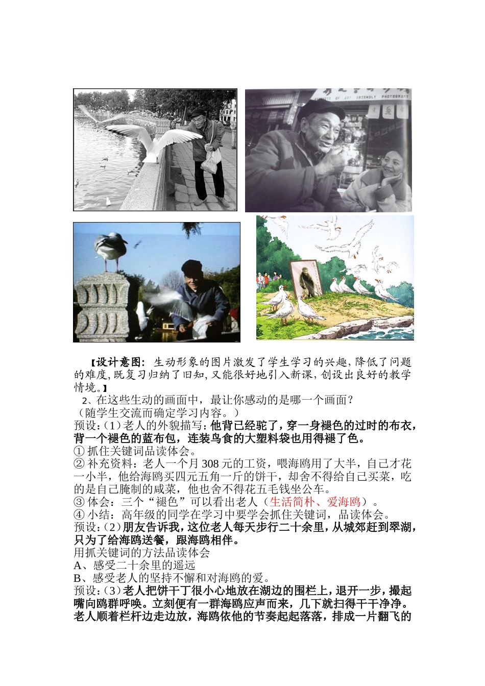 《老人与海鸥》教学设计_第2页