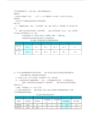 EDU-细胞增殖检测