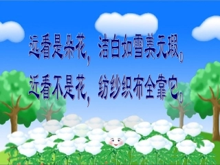 棉花姑娘课件