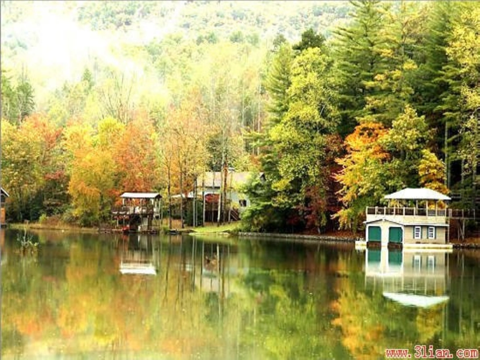 北师大版数学五年级下册《倒数》课件_第1页