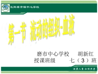 流动的组织-血液
