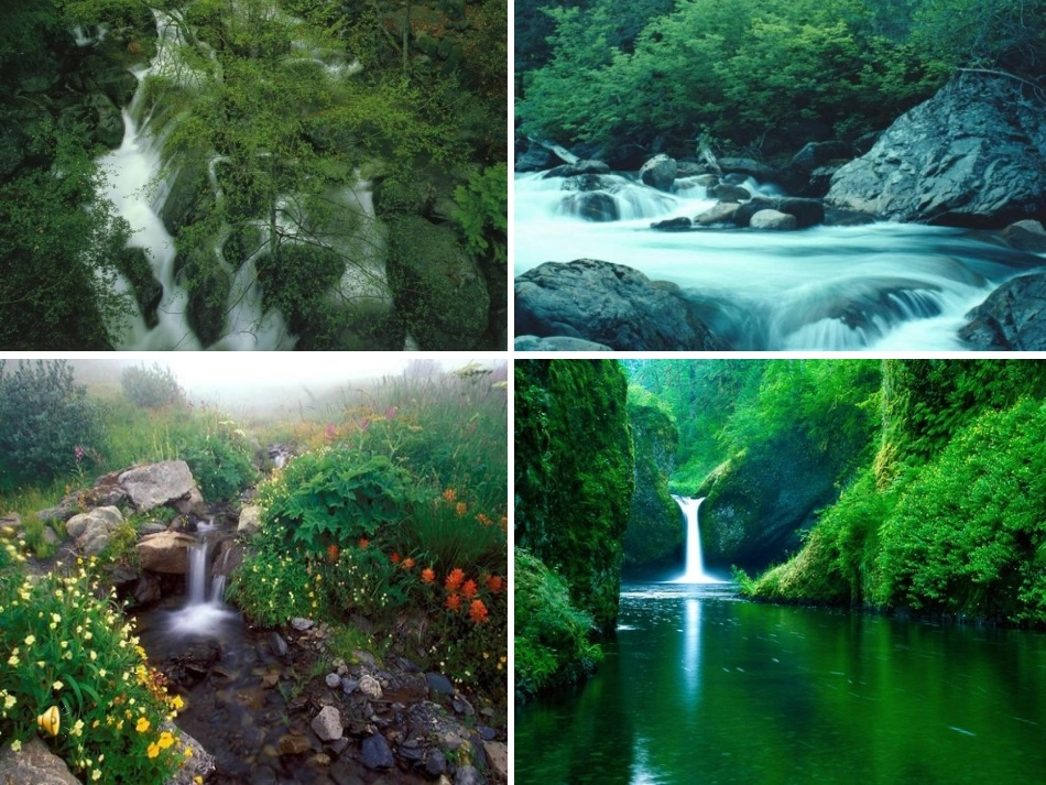 跨越百年的美丽人教版课件欣赏PPT_第2页