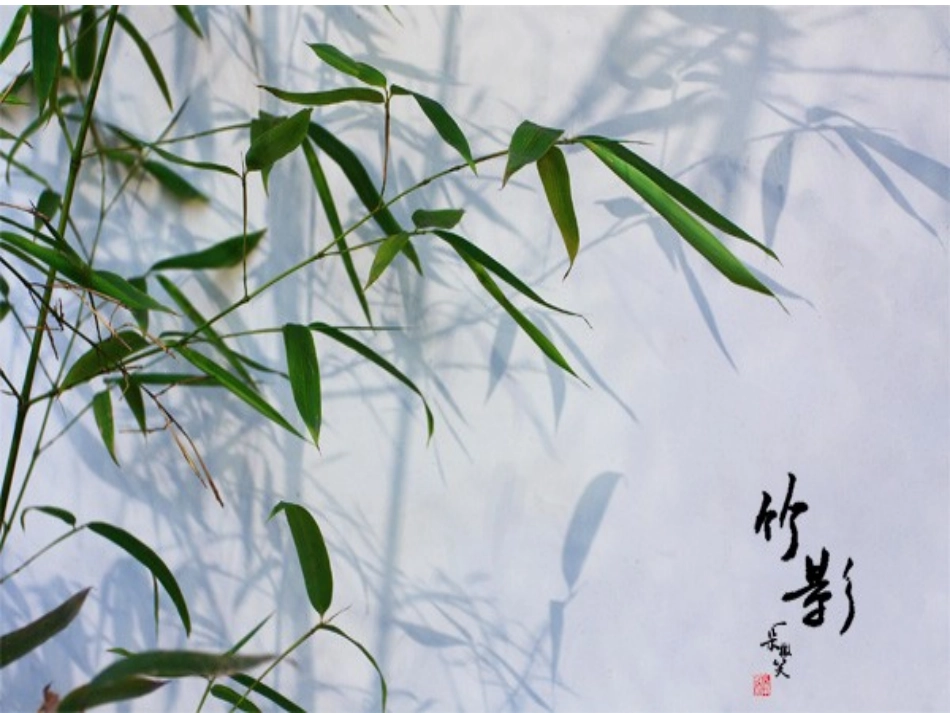 语文：第18课《竹影》课件_第2页