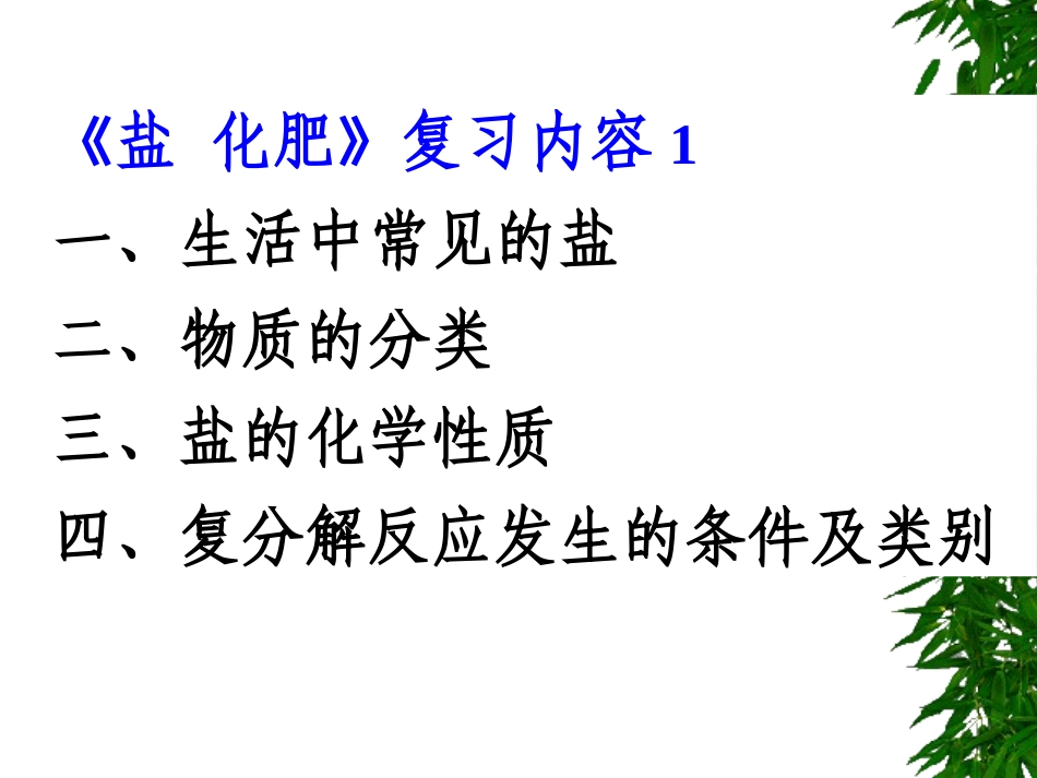《盐化肥》复习_第2页
