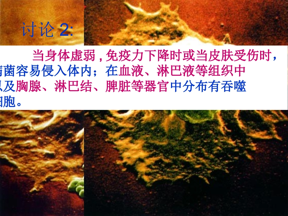 免疫和计划免疫_第3页