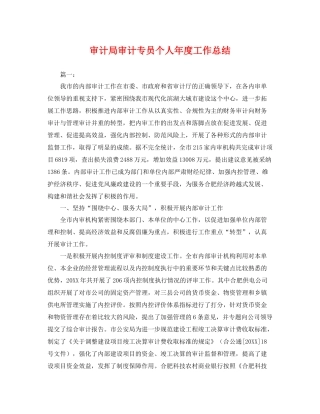 审计局审计专员个人年度工作总结 