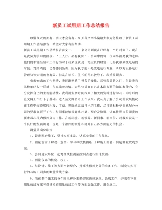 新员工试用期工作总结报告 