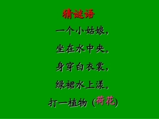 《荷花》PPT之一课件(人教版三年级语文下册课件)