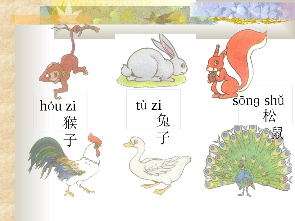 比尾巴(1)_第3页