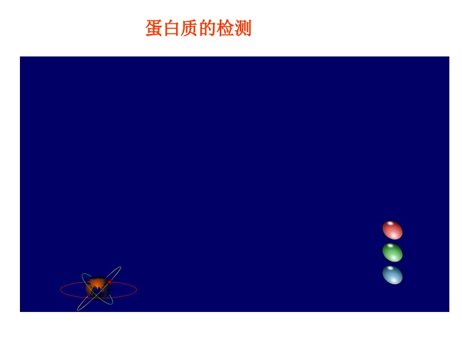 组织中的糖、脂、蛋白质_第3页