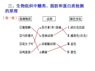 组织中的糖、脂、蛋白质