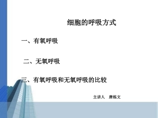 长沙县实验中学生物唐练文细胞呼吸