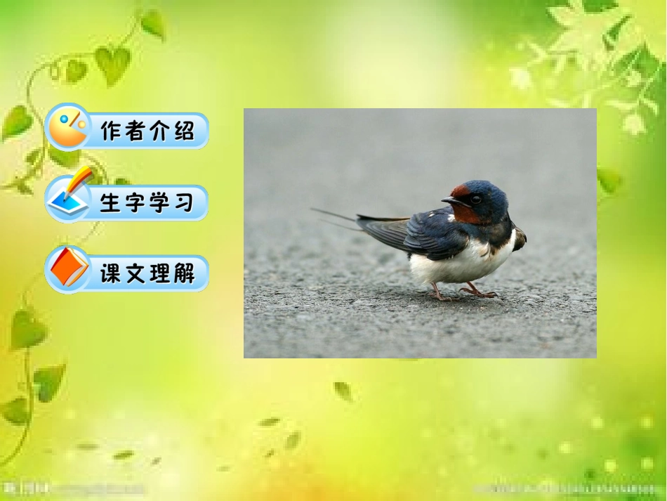 小学语文三年级下册《燕子》课件_第2页