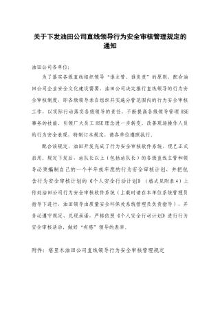 10 直线领导行为安全审核管理规定